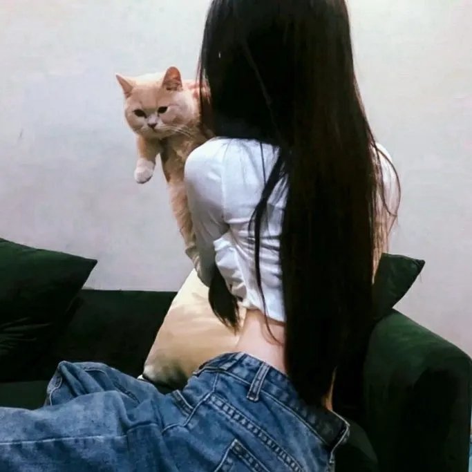 继承者风云
